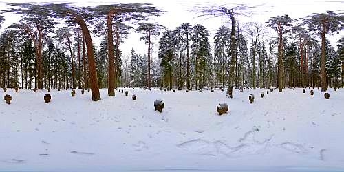 GERMAN CEMETERY KANNENINKJ, BALDONE